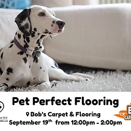 Bob’s Carpet and Flooring Oldsmar Event