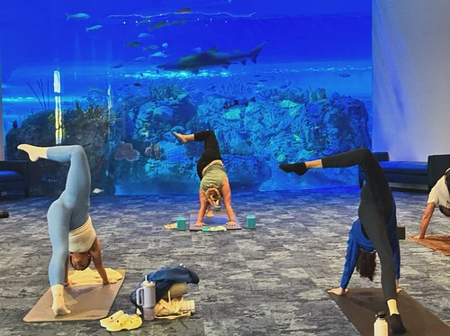 Mote SEA Morning Yoga