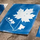 Make Your Own Cyanotypes: A Drop-In Program