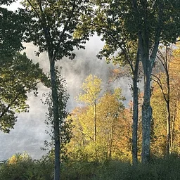 Fall Foliage Knitting Retreat, Salt Fork Lodge Oct 21-24