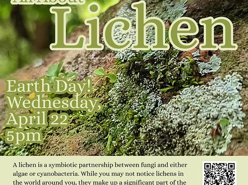 All About Lichen
