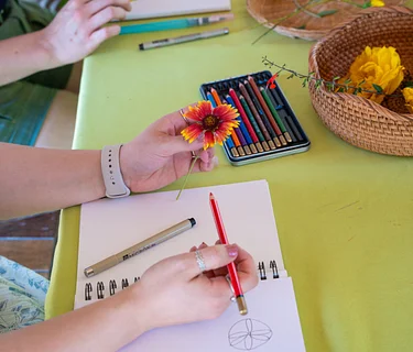 Introduction to Nature Journaling Workshop: Line & Shape