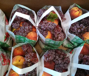 2026 Fruit Share