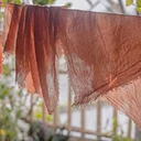 Dye from the Garden | Youth Workshop