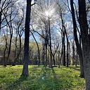 Dayton Bluffs Preserve Workday