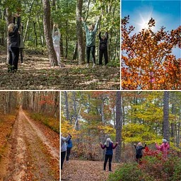 QiGong in Nature