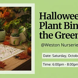 Halloween Plant Bingo in the Greenhouse