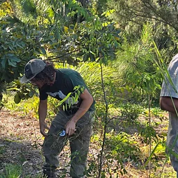 Volunteer @ Felts Audubon Preserve Conservation Day
