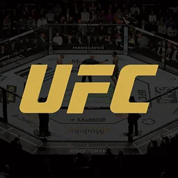 UFC 333