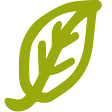 21 Roots Farm