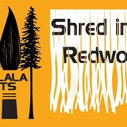 Back by Popular Demand! Shred in the Redwoods