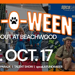 Howl-o-ween at Beachwood Brewing