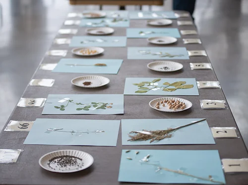 Crops Judging Contest