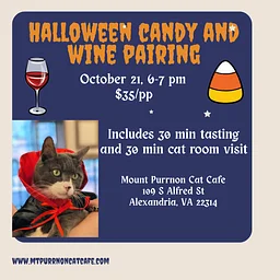 Halloween Candy & Wine Pairing