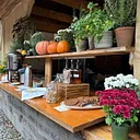 Vanguard: Jazz Brunch at June Farms