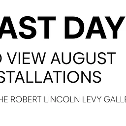 Last Day to View August Installations