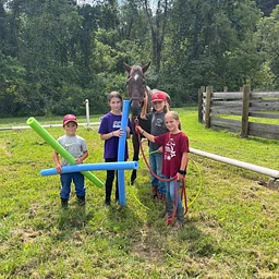 Horsemanship Program