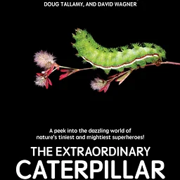 The Extraordinary Caterpillar, a documentary film
