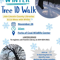 ❄️🌳 Winter Tree ID Walk! 🌳❄️