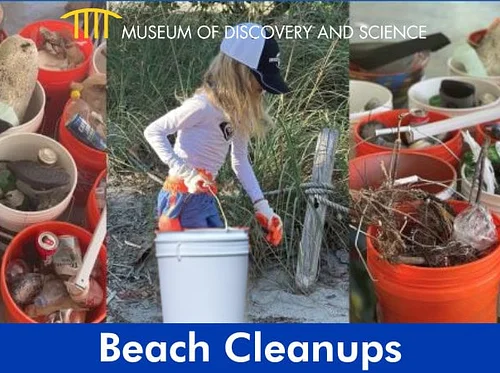Beach Clean-ups
