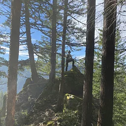 Horsetail Creek Trail