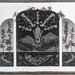 Printmaker Vanessa Jo Bahr