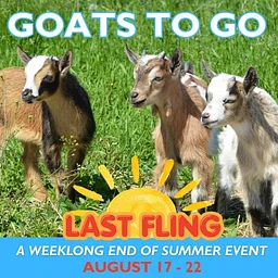 Last Fling: Goats to Go