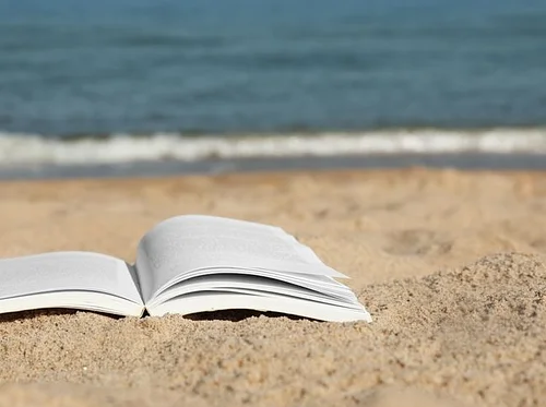 DIVE! Book Club – Rare Bird: Pursuing the Mystery of the Marbled Murrelet