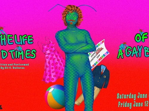 The Life & Times of a Gay Bug (The Vault)
