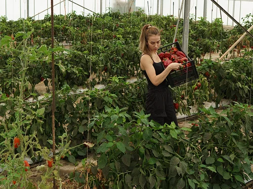 Intro to Our Local Food Systems with Slow Food Boulder County