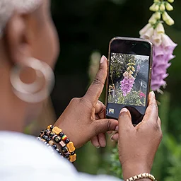 Smartphone Flower Photography