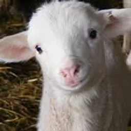 Morehouse Farm, LLC