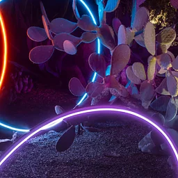 Classical Music Nights: Desert Oasis Garden After Dark