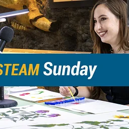 STEAM Sunday: Deep in the Art