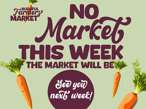 No market this week (temporary due to weiner dog races)