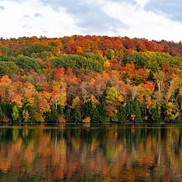 Maine Harvest Festival