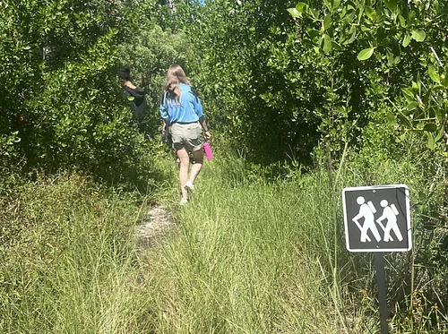 Guided Trail Walk: Brooks Trails