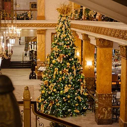 Annual Pfister Tree Lighting Ceremony