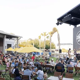 Live Music at Ole Smoky Distillery and Yee-Haw Brewing