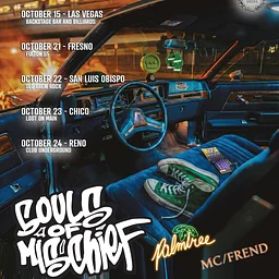SOULS OF MISCHIEF with guests PALMTREE and MC FREND