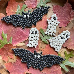 Kids Spooky Bean Mosaics!