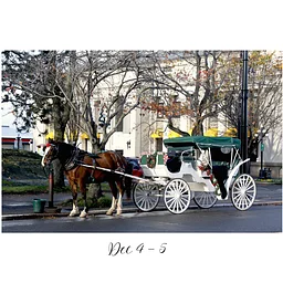 Carriage Rides