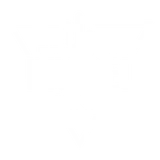 Divided Vine