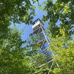 Protect the Path Hiking Series: Mt. Tremper Fire Tower