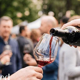 Uncorked: Arizona Wine Festival