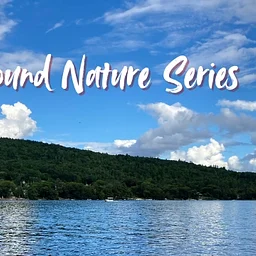 Microplastic Accumulation in Rural New England Lakes – Newfound Nature Series