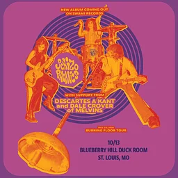 THE SCHIZOPHONICS