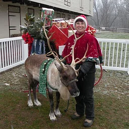 Santa’s Reindeer and Mrs. Santa