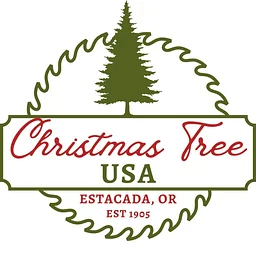 Downtown Christmas Tree Lighting