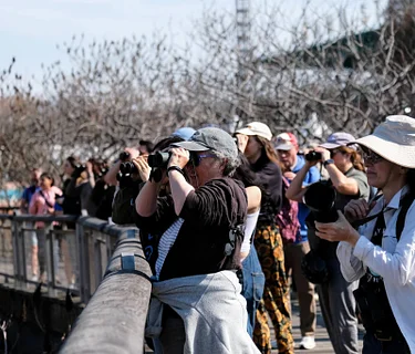 Let’s Go Birding Together (LGBT)